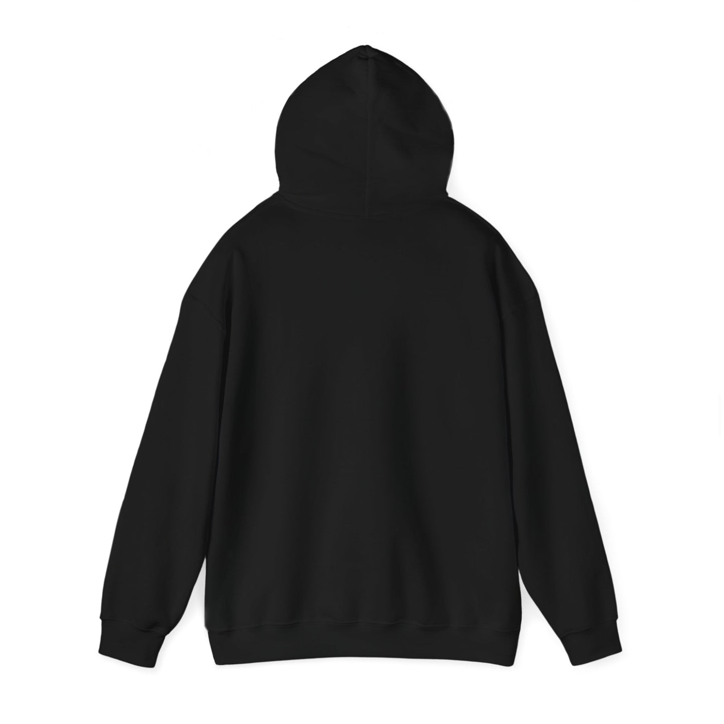 ASVAB Waver - Hooded Sweatshirt