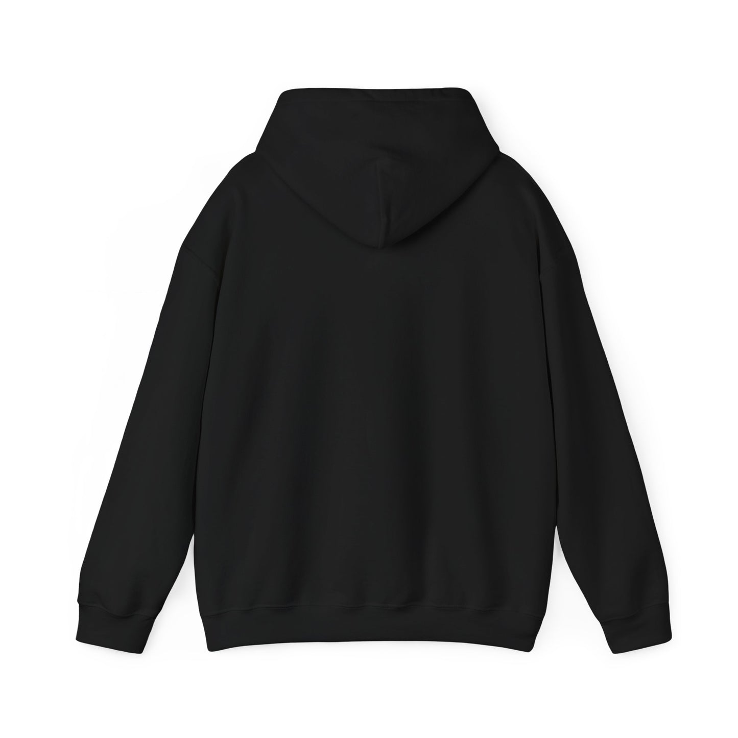 A Series of Poor Choices - Hooded Sweatshirt